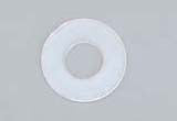 SIG FLAT NYLON WASHERS