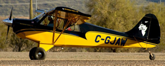 SEAGULL AVIAT A-1C CHRISTEN HUSKY 180N ARF PARTS